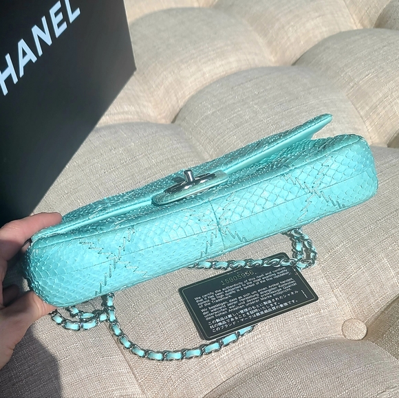 Chanel Python Classic Flap Bag - Picture 6 of 12